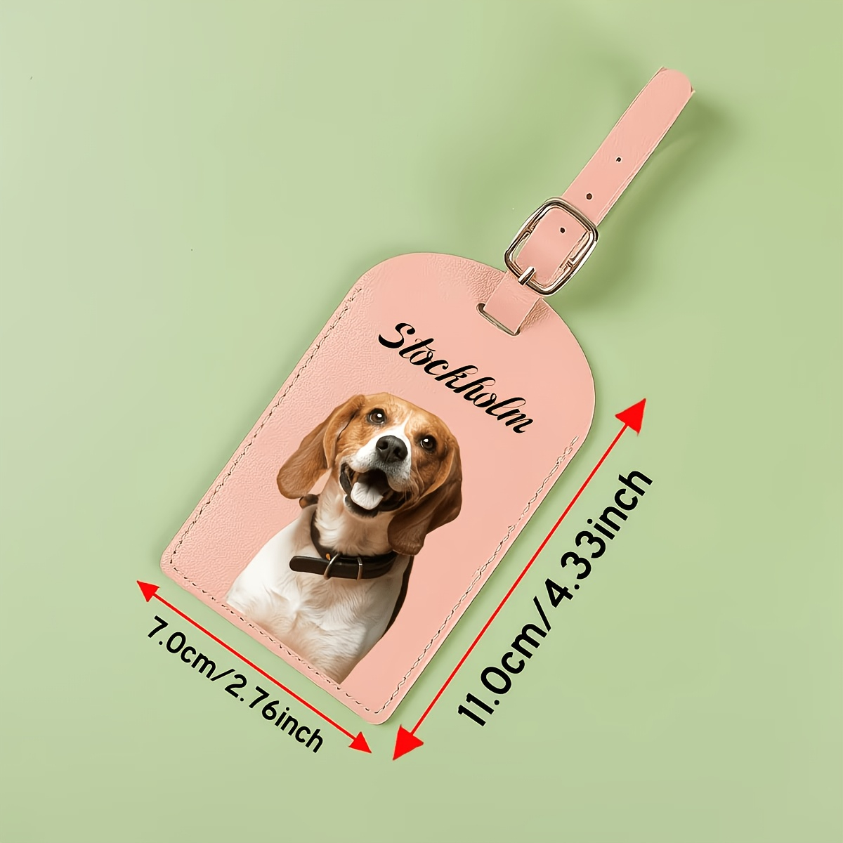Custom Boarding‑Pass‑Style Pet - Travel Accessories Ideas recension och pris